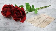 roses laying on tickets